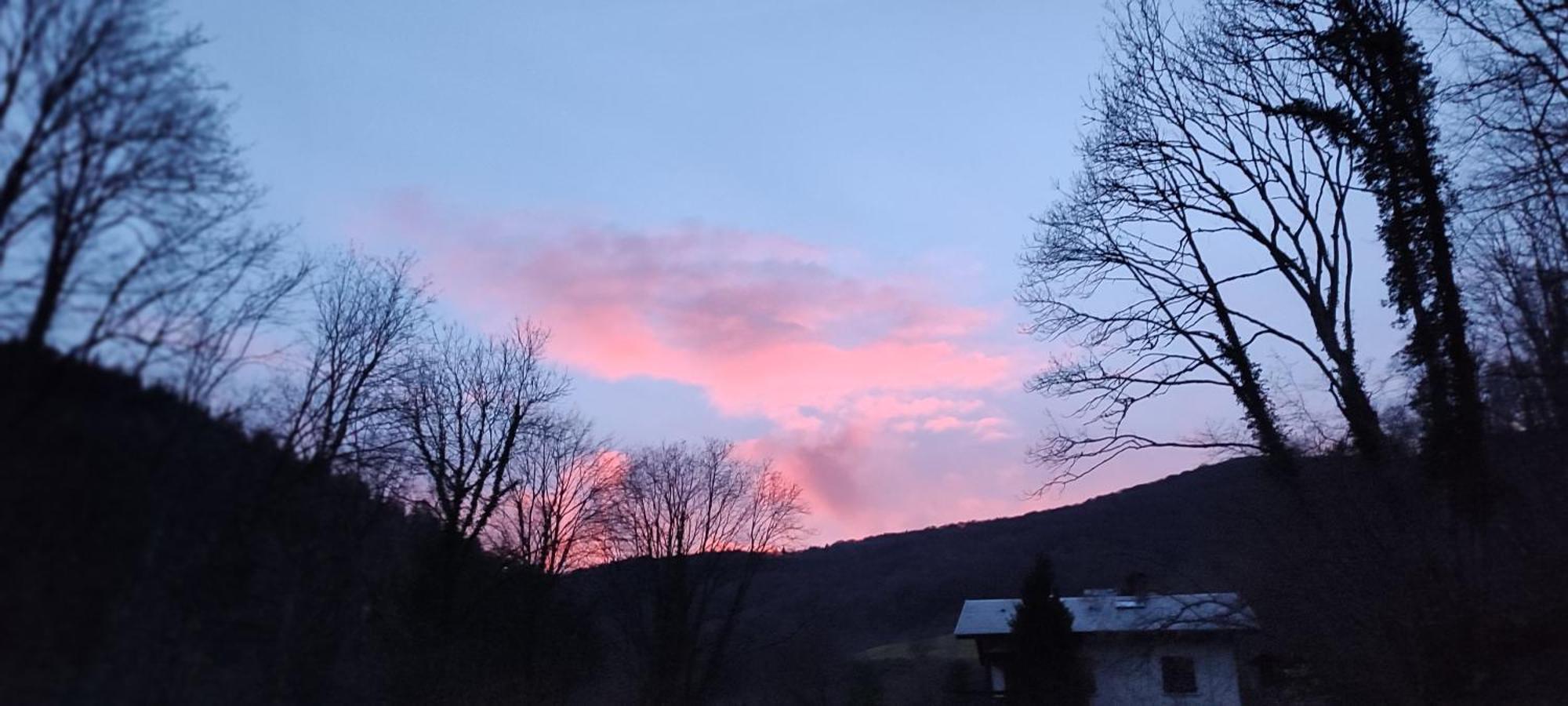 Un Air D'Alsace Villa Rimbach-pres-Guebwiller ภายนอก รูปภาพ